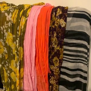 5 pack of sheer scarves